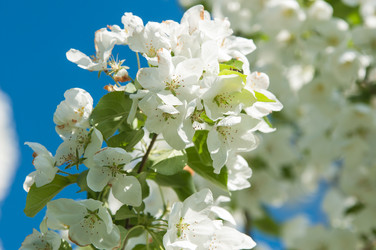 Similar image 7797710