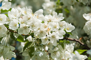 Similar image 7797711