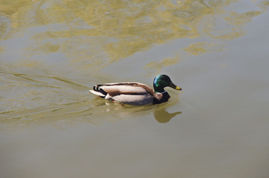 Similar image 7797735