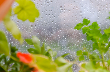 Similar image 7797737