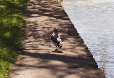 Similar image 7797741