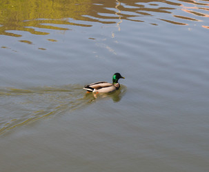 Similar image 7797742