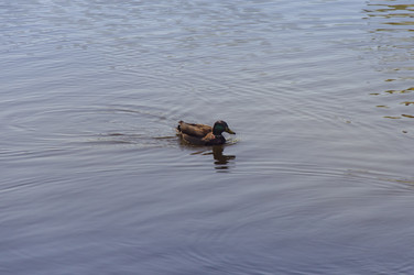 Similar image 7797746