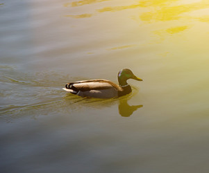 Similar image 7797749