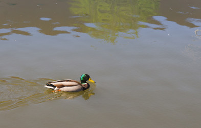 Similar image 7797759