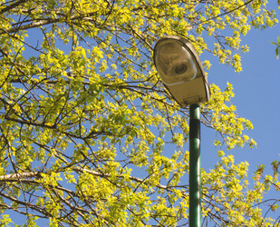 Similar image 7797760