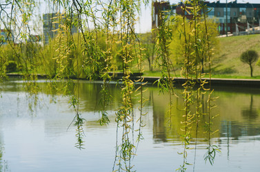 Similar image 7797762