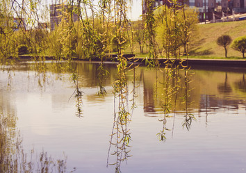 Similar image 7797765