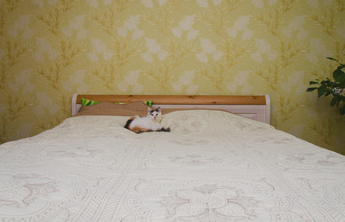 Similar image 7797766