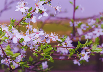 Similar image 7797784