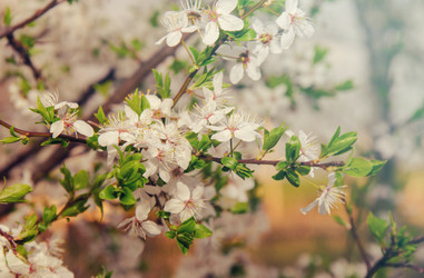 Similar image 7797786