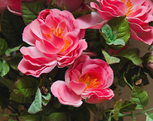 Similar image 7797802