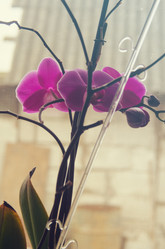 Similar image 7797807