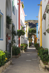 Similar image 7797934