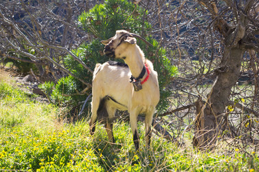 Similar image 7797942