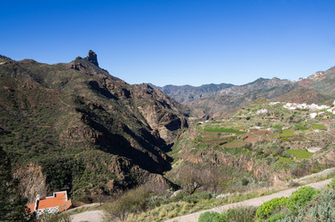 Similar image 7797943