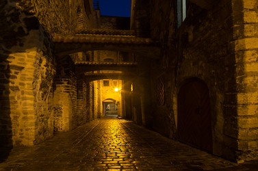 Similar image 7798250