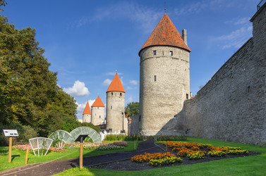 Similar image 7798252