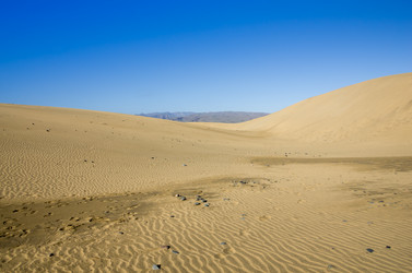 Similar image 7798473