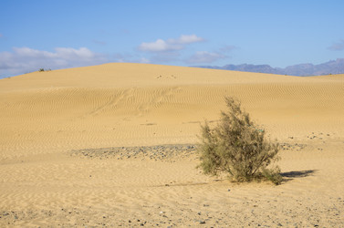 Similar image 7798503