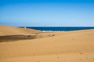 Similar image 7798509