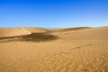 Similar image 7798513