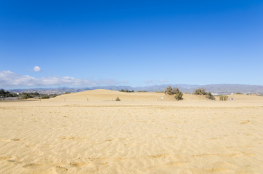 Similar image 7798517