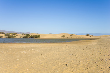 Similar image 7798519