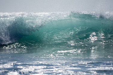 Similar image 7798522