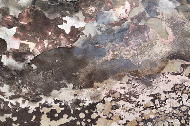 Similar image 7798594