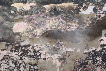 Similar image 7798611