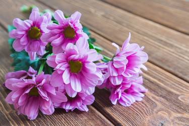 Similar image 7798649