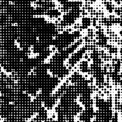 Similar image 7798728