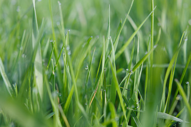 Similar image 7798973