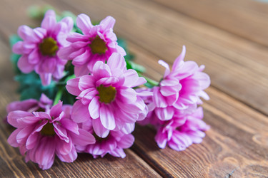 Similar image 7798993