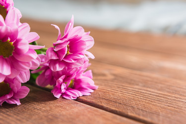 Similar image 7799027