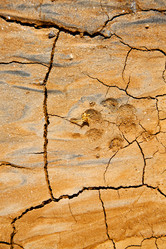 Similar image 7799054