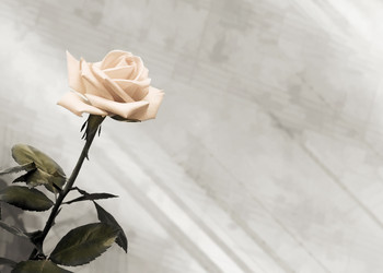 Similar image 7799120