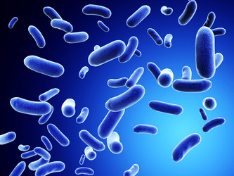 Similar image 7799132