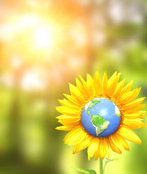 Similar image 7799152