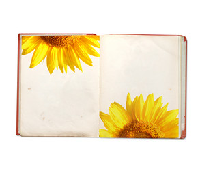 Similar image 7799184