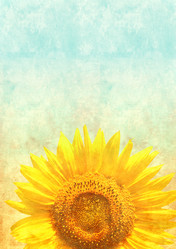 Similar image 7799189