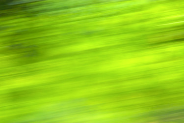 Similar image 7799223