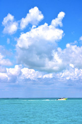 Similar image 7799240