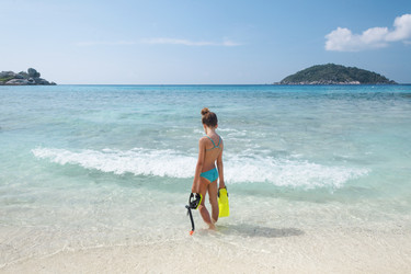 Similar image 7799495