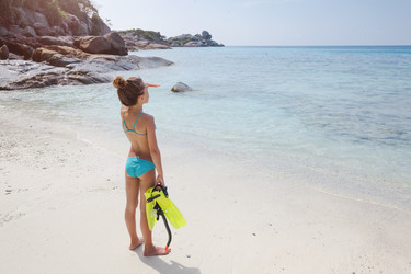 Similar image 7799496