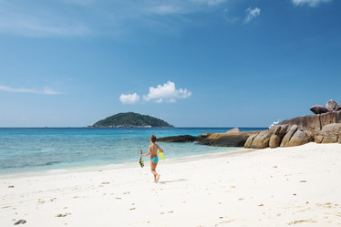 Similar image 7799508