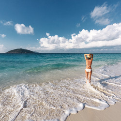 Similar image 7799529