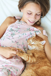 Similar image 7799621