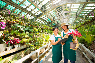 Similar image 7800000